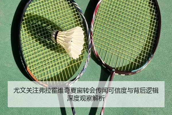 尤文关注弗拉霍维奇夏窗转会传闻可信度与背后逻辑深度观察解析（kaiyun）