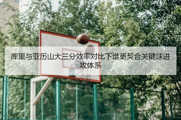 库里与亚历山大三分效率对比下谁更契合关键球进攻体系（kaiyun）